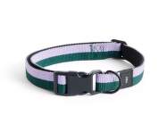 Obojok pre psa Dogs Collar Flat M/L, lavender/green